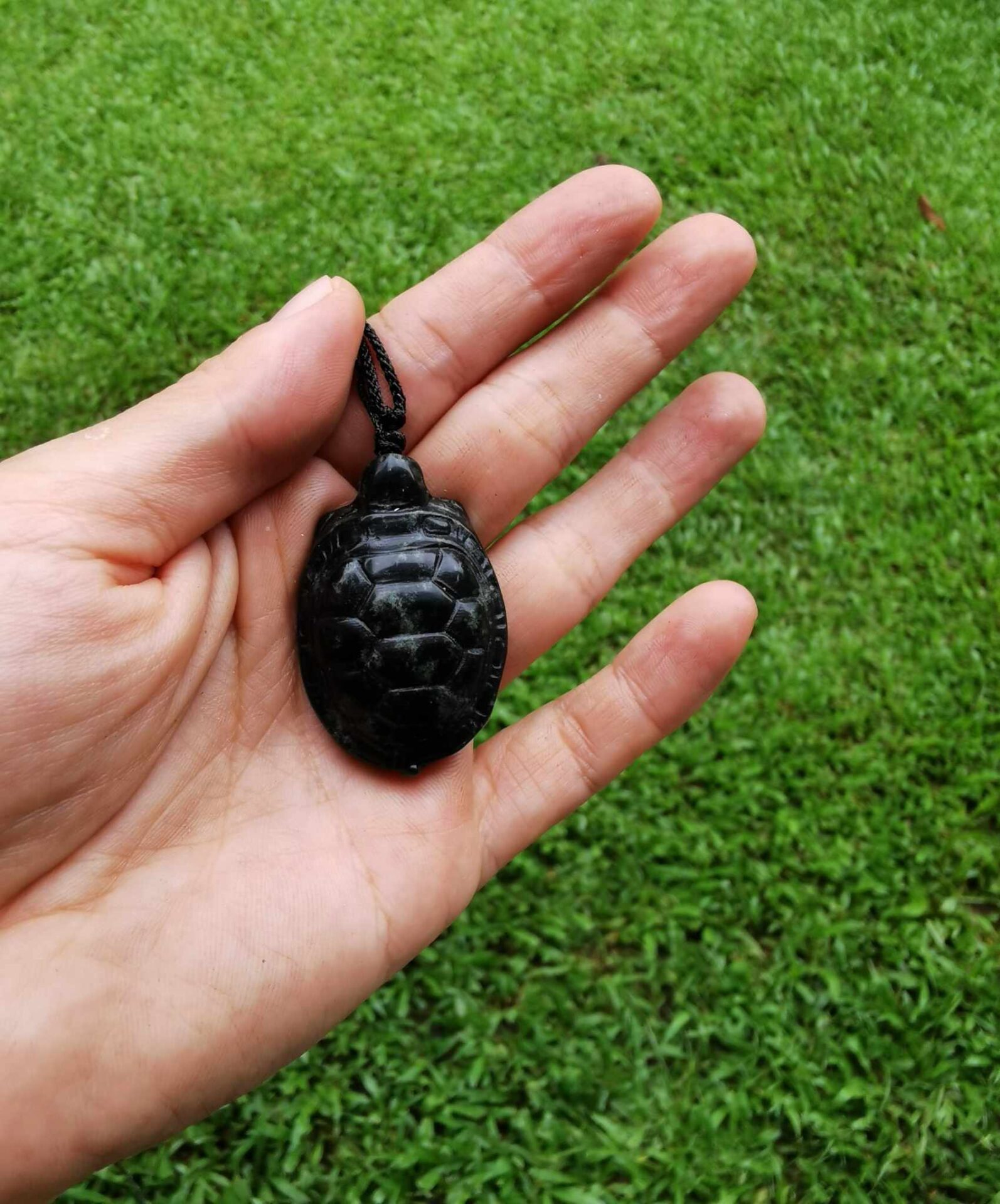 A hand holding Jade Turtle