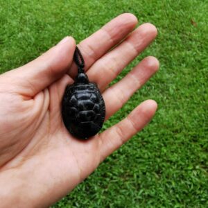 A hand holding Jade Turtle
